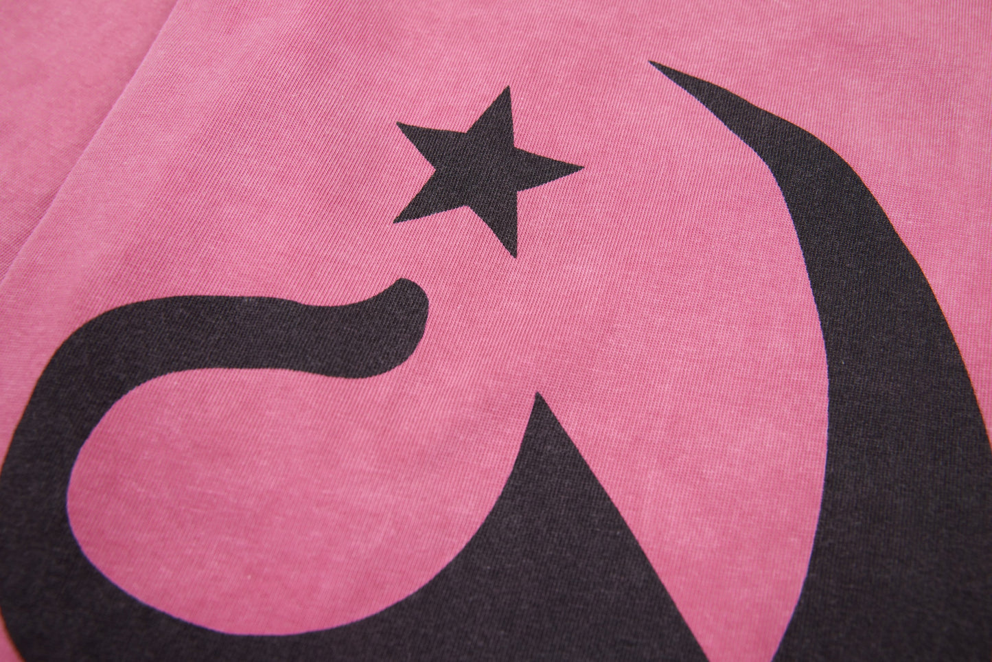 CapCabin Archival Graphic Heavyweight Long Sleeve