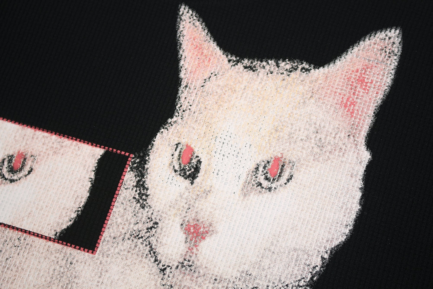 CapCabin Graphic Cat Print Tee